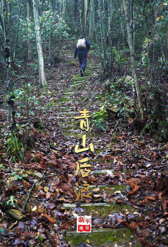 新华全媒+ 山为邻，树为伴，他们是一群扎根森林的“青山后浪”