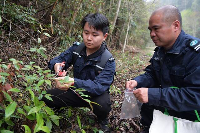 新华全媒+ 山为邻，树为伴，他们是一群扎根森林的“青山后浪”