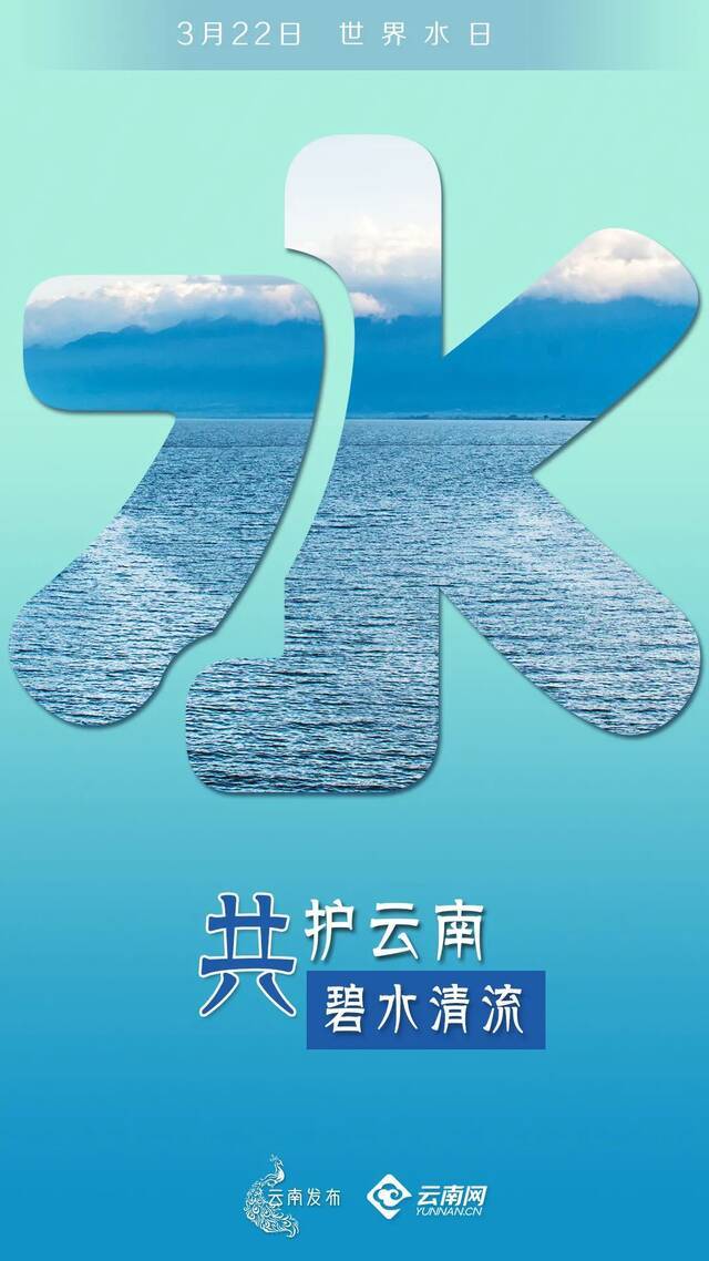 一个字，赞！