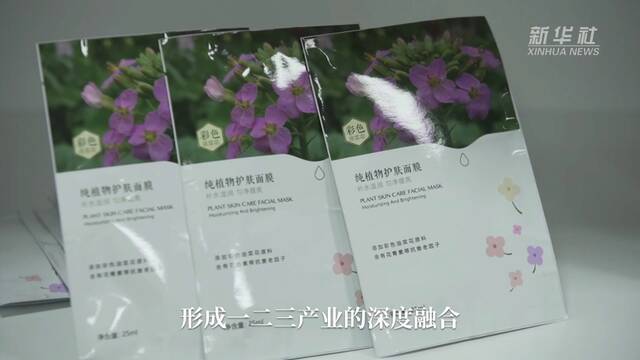 ↑付东辉教授团队和市场机构联合研发的彩色油菜花面膜产品。新华社记者余刚摄