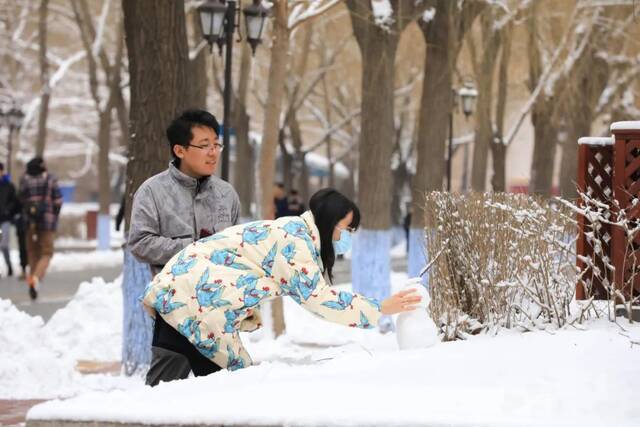 白色浪漫！好一场哈工大春雪