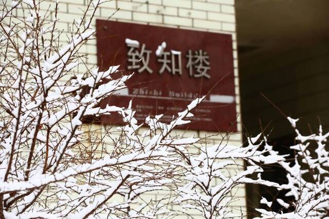 白色浪漫！好一场哈工大春雪