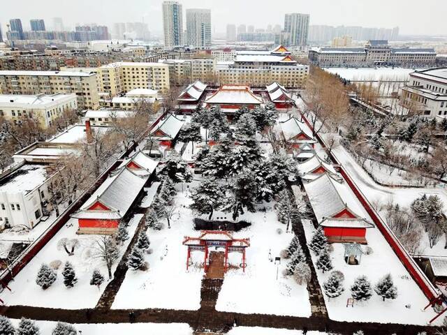 瑞雪兆百年！哈工程的春天，总有这朵花开得轰轰烈烈！