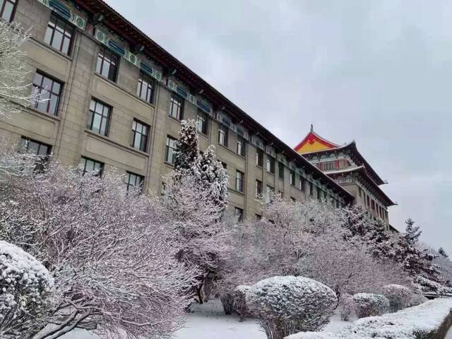 瑞雪兆百年！哈工程的春天，总有这朵花开得轰轰烈烈！