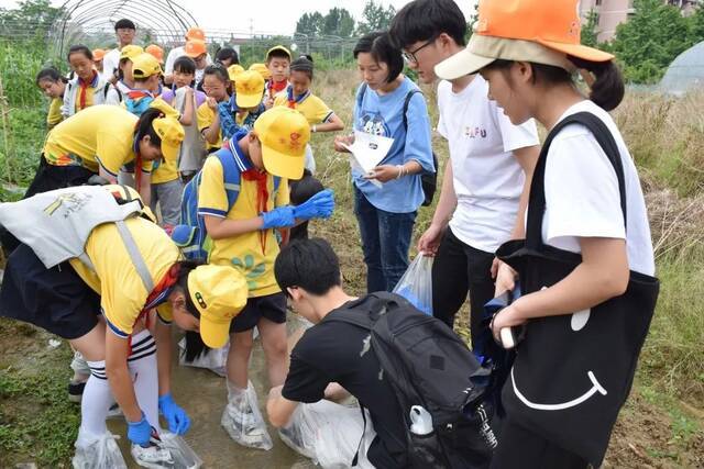 这门课，我们一直这么上  一堂开在田间地头的思政课