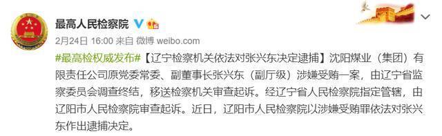 检察机关依法分别对张伟、张国庆、林守信、张兴东、魏刚、王杰提起公诉