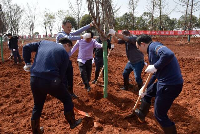 省纪委监委机关开展“奋斗百年路 播种新希望”植树活动