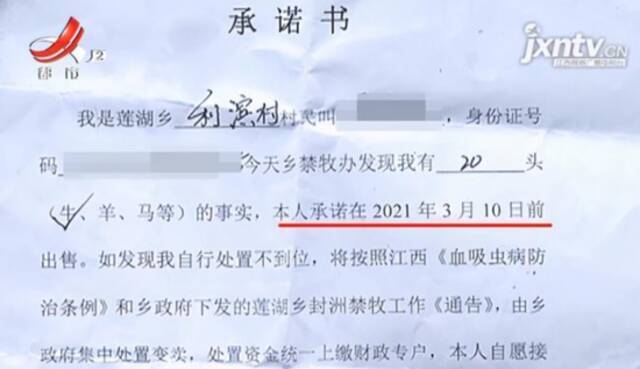 江西鄱阳一乡养牛户被通知“必须卖掉养的牛”，当地回应