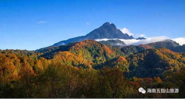 图片来源：海南五指山旅游