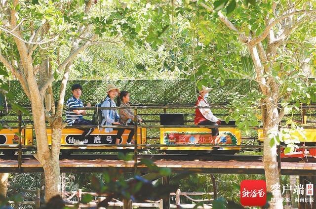 游客在槟榔谷旅游区体验空中小火车项目。海南日报记者武威通讯员潘达强摄
