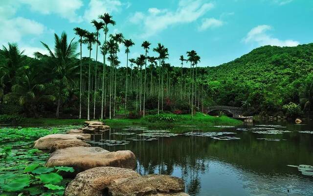 图片来源：海南呀诺达雨林文化旅游区官方网站