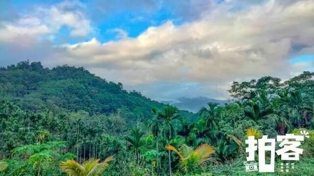 茶溪谷风景。新海南客户端、南海网客户端拍客专栏摄影师麻贵云摄