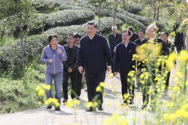  3月22日下午，正在福建考察调研的习近平总书记，来到武夷山市星村镇燕子窠生态茶园，察看春茶长势，了解当地茶产业发展情况。新华社记者鞠鹏摄