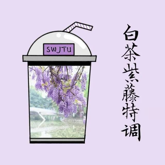 交大限定奶茶！伴你度过新的四季！