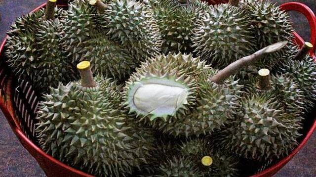 泰国农业部警告：采摘和出售未成熟榴莲违法