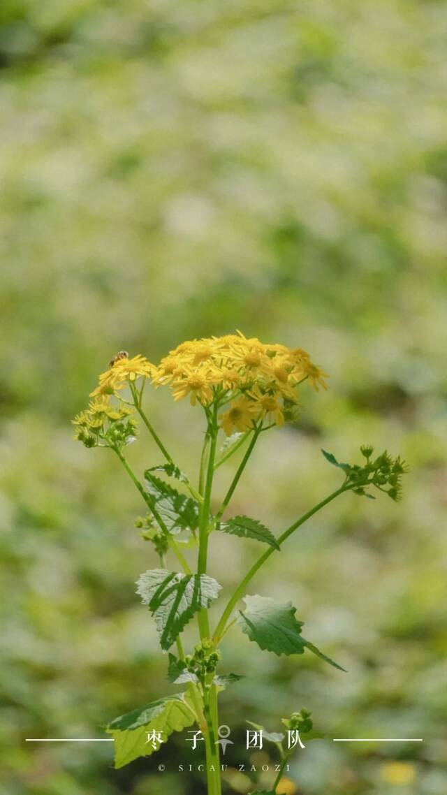 这个晴天，我好想和你在一起！