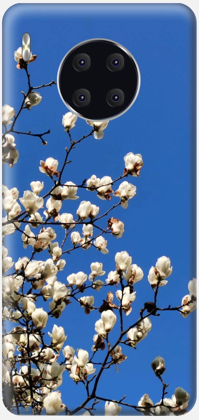 戳我！解锁春日限定手机壳！