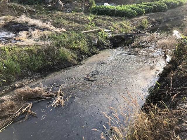 环境部总工张波再谈黑臭水体整治：三年攻坚很辛苦 不许反弹