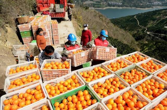 国网湖北宜昌供电公司帮助当地农户拓宽农产品销售渠道