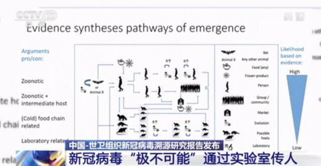 调查其他国家的潜在早期传播“是重要的”！新冠病毒溯源联合研究报告发布