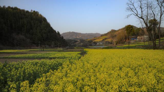 ▲南沙河村。图/草莓