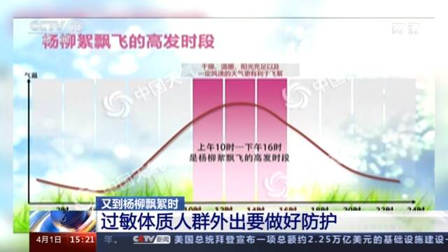 杨柳飞絮“撒欢”季又要来了 切记这些事