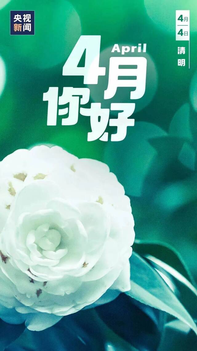 四月，向这几个日子问好