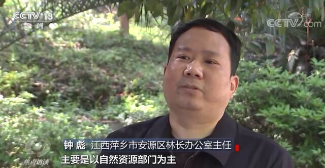 矿山变花海，林长制助力林长治！