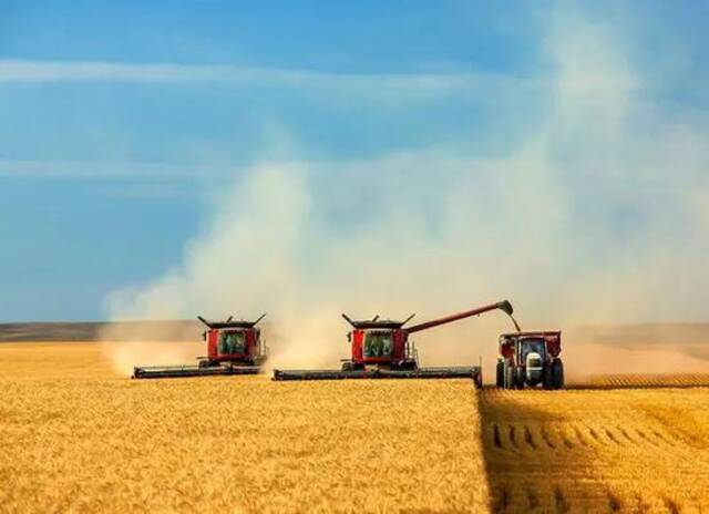 美国农民机械化收割粮食。来源：GJ