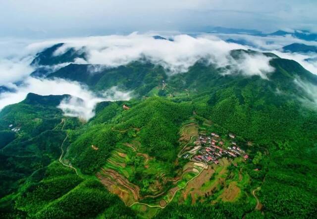 浙江新增14家森林康养基地，一起来“森”呼吸！