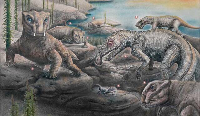 2.52亿年前的二叠纪末期大灭绝事件后陆地上的生命是如何恢复的？