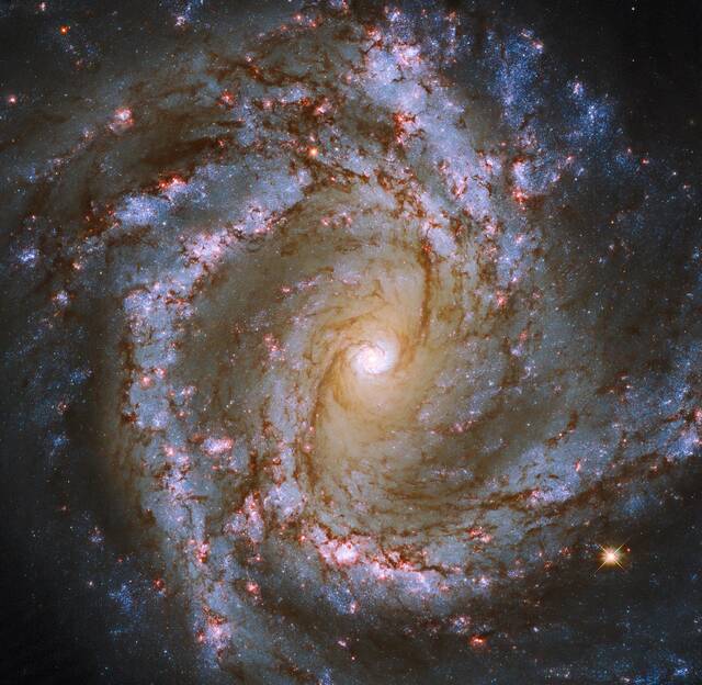 哈勃望远镜在M61星系发现壮观的带有黑暗触须的“发光心脏”