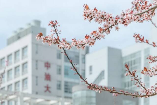 想和你看四月满天飞花， 与你共度日出与晚霞！