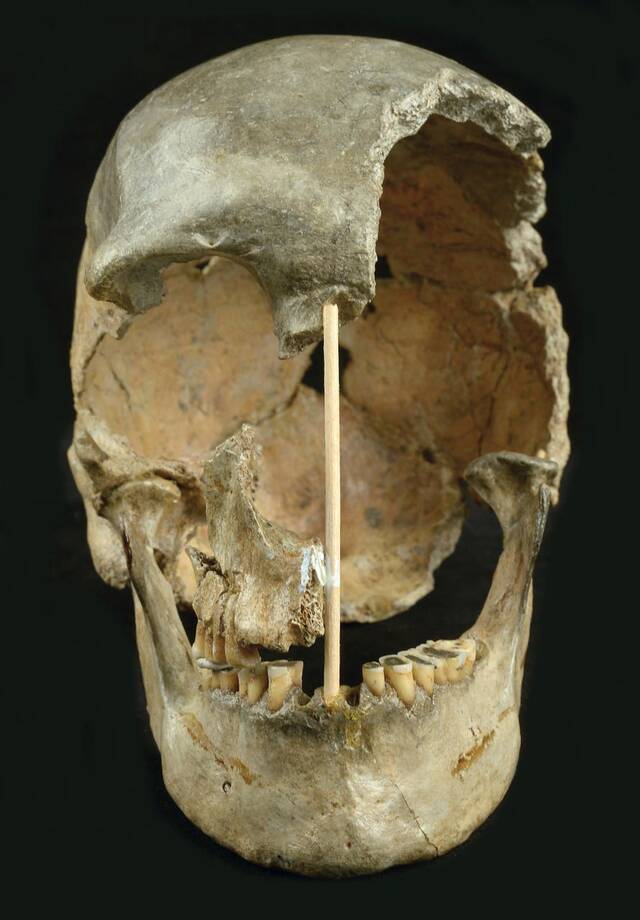 《自然生态与进化》杂志：非洲以外最早现代人基因组测序取自捷克约45000年前头骨