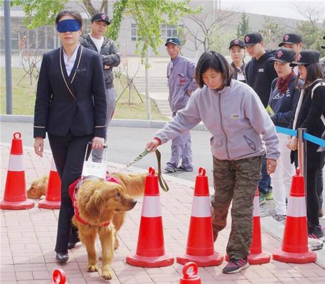 导盲犬被质疑是“奢侈”骗局？中国盲协主席：免费给盲人使用