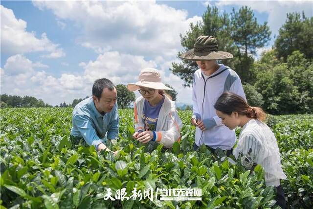 《贵州日报》头版刊发文章《贵州大学加快推进“双一流”建设》