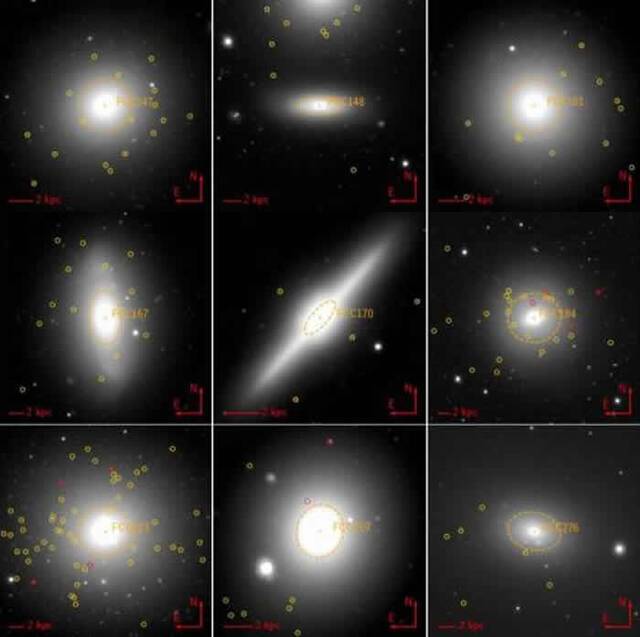 天炉座星系团发现44个全新超致密矮星系UCD