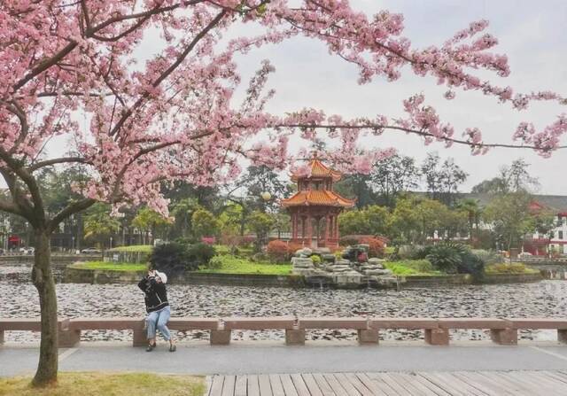 重磅！四川大学2021年强基计划招生简章发布！