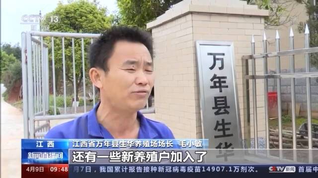 多地农副产品市场观察：春菜大量上市 猪肉价格回落