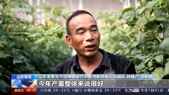 多地农副产品市场观察：春菜大量上市 猪肉价格回落