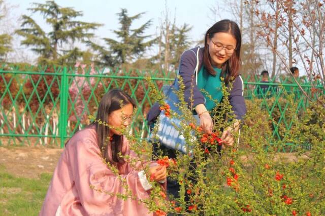 百年如朝，海棠依旧！青大首届花朝节献礼建党百年！