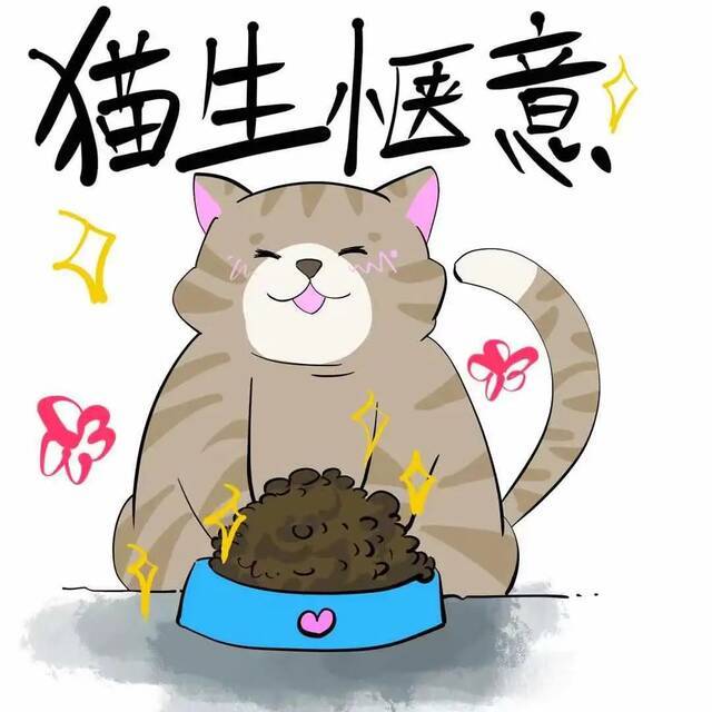 又是想当猫的一天！好羡慕！