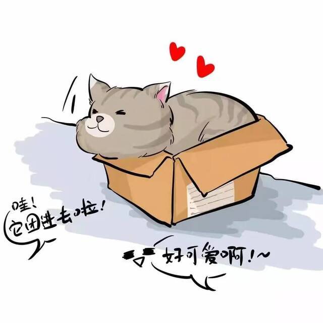 又是想当猫的一天！好羡慕！