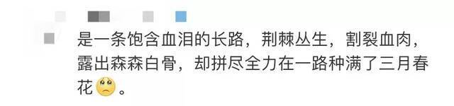 他们的故事感人至深，这部“爆款”电视剧你看了吗