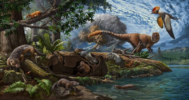 中国东北热河生物群发现1.2亿年前的远古穴居哺乳动物化石