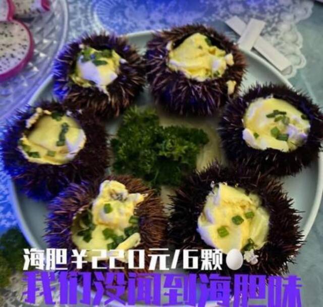 海胆蒸蛋只有蛋？专家：这个季节存在海胆没有“海胆黄”的情况