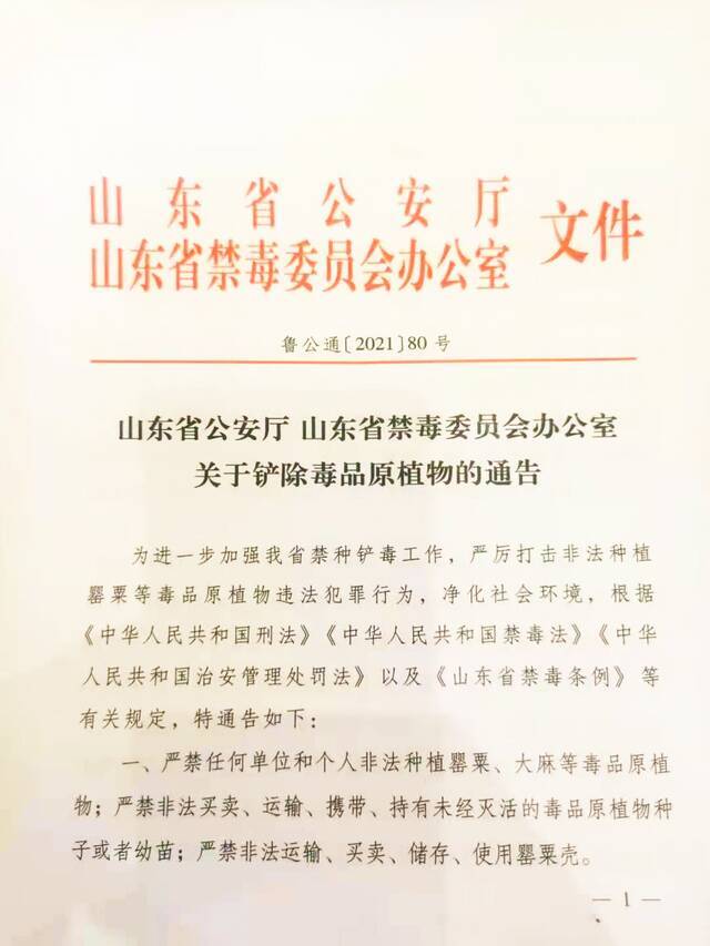 种一棵也不行！山东发通告严厉打击非法种植罂粟等违法犯罪行为