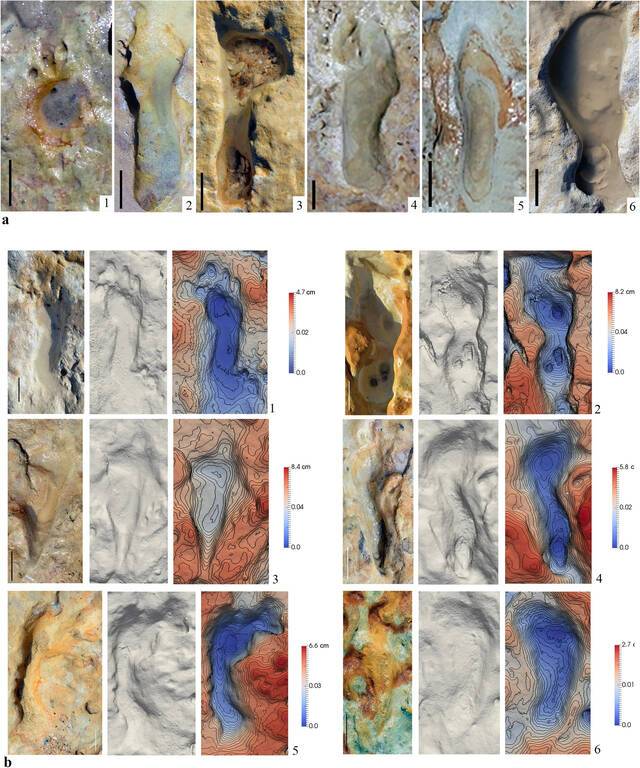 西班牙南部发现10万年前由尼安德特人孩子留下的脚印化石