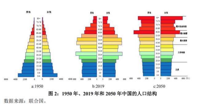 央行这篇论文呼吁全面放开生育，说东南亚文科生太多影响发展，这些股票神奇涨停