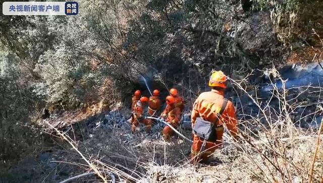 四川甘孜州九龙县森林火情：火场已得到全面控制 仅有零星烟点